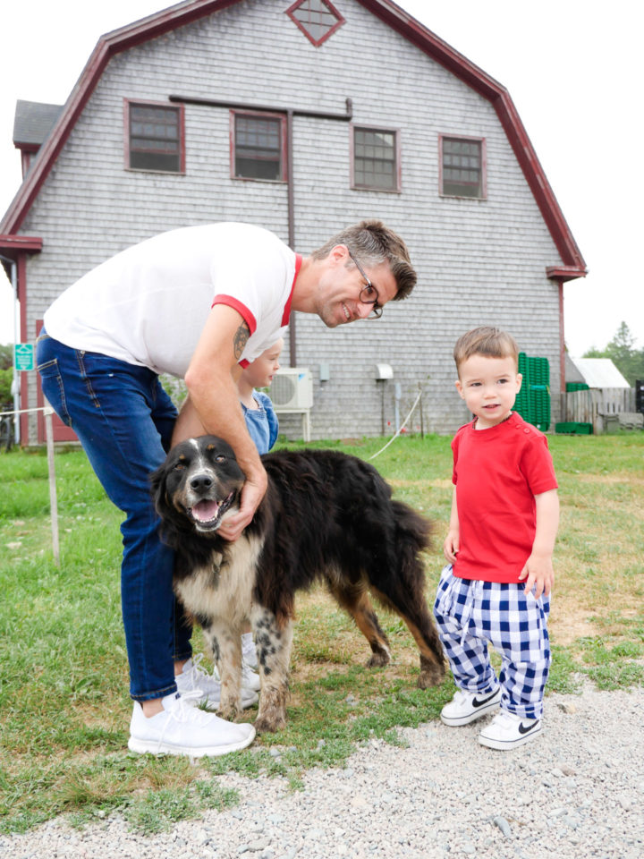 Eva Amurri Martino's husband Kyle and son Major pet a dog in Bar Harbor, ME.