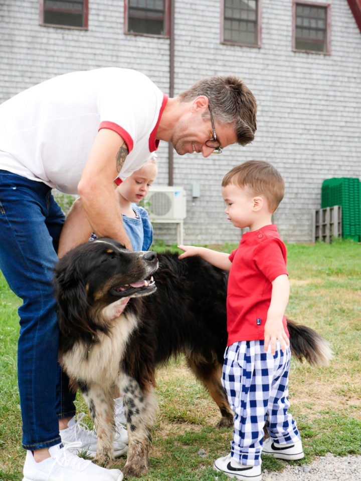 Eva Amurri Martino's husband Kyle teaches their son Major how to pet a dog.