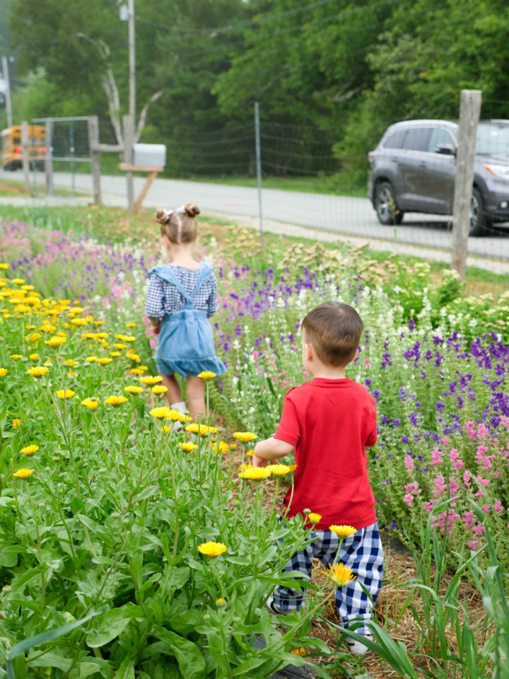Eva Amurri Martino's kids Marlowe and Major walk in a field of flowers in Bar Harbor, ME.