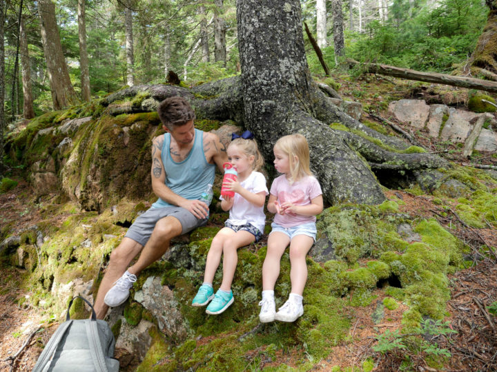 Eva Amurri Martino's husband Kyle, daughter Marlowe and friend sit under a tree in Bar Harbor, ME.