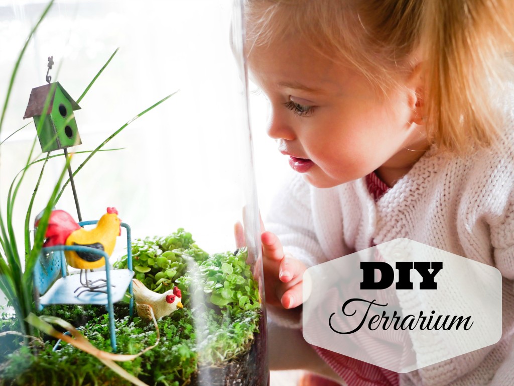 Kids Craft: DIY Terrarium - Happily Eva After