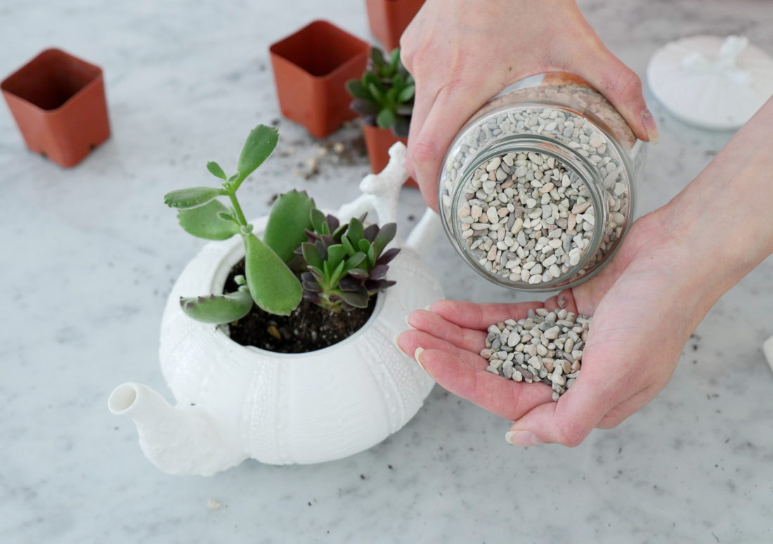 Eva Amurri Martino wearing a gold bracelet watch, showing how to craft DIY Teacup Planters on the Happily Eva After blog using a pebbled porcelain tea pot and mini succulents