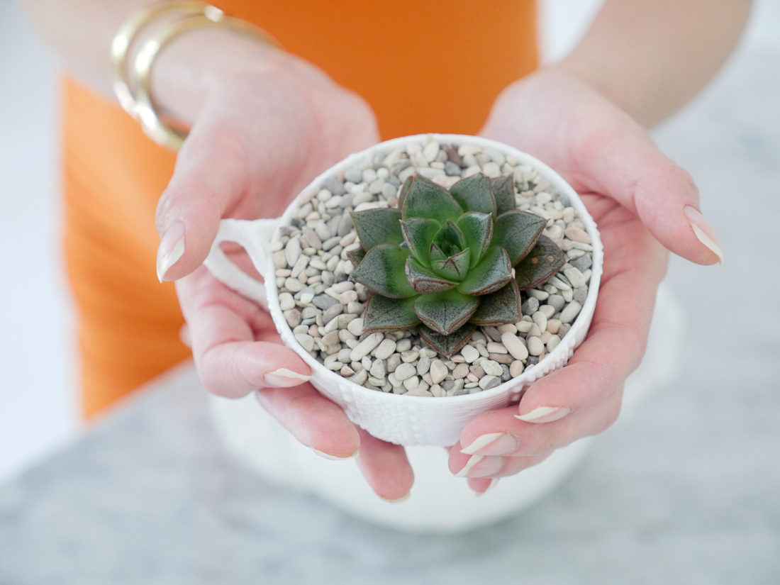 Eva Amurri Martino from the Happily Eva After blog displaying her DIY Teacup Planters with Mini Succulents and small pebbles, wearing a bodycon orange maternity dress and gold bracelet watch