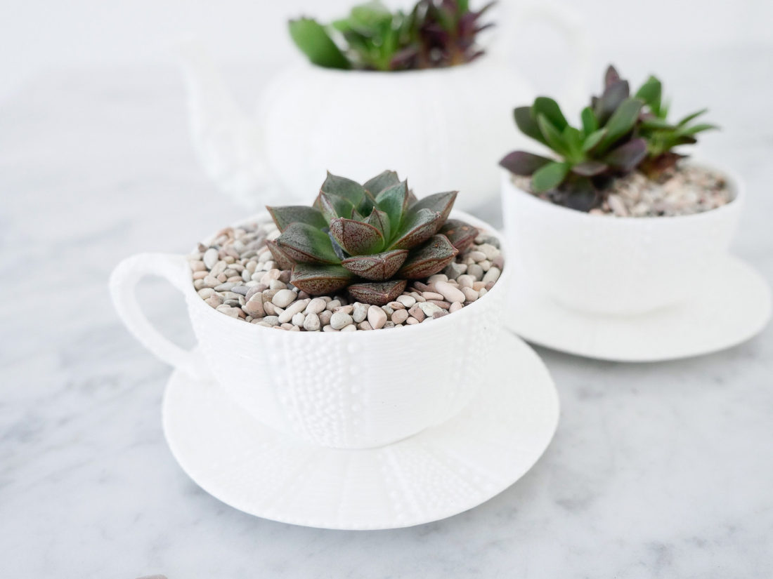 DIY teacup planters featuring small succulents surrounded by tiny pebbles in a white china tea cup on the Happily Eva After blog by Eva Amurri Martino