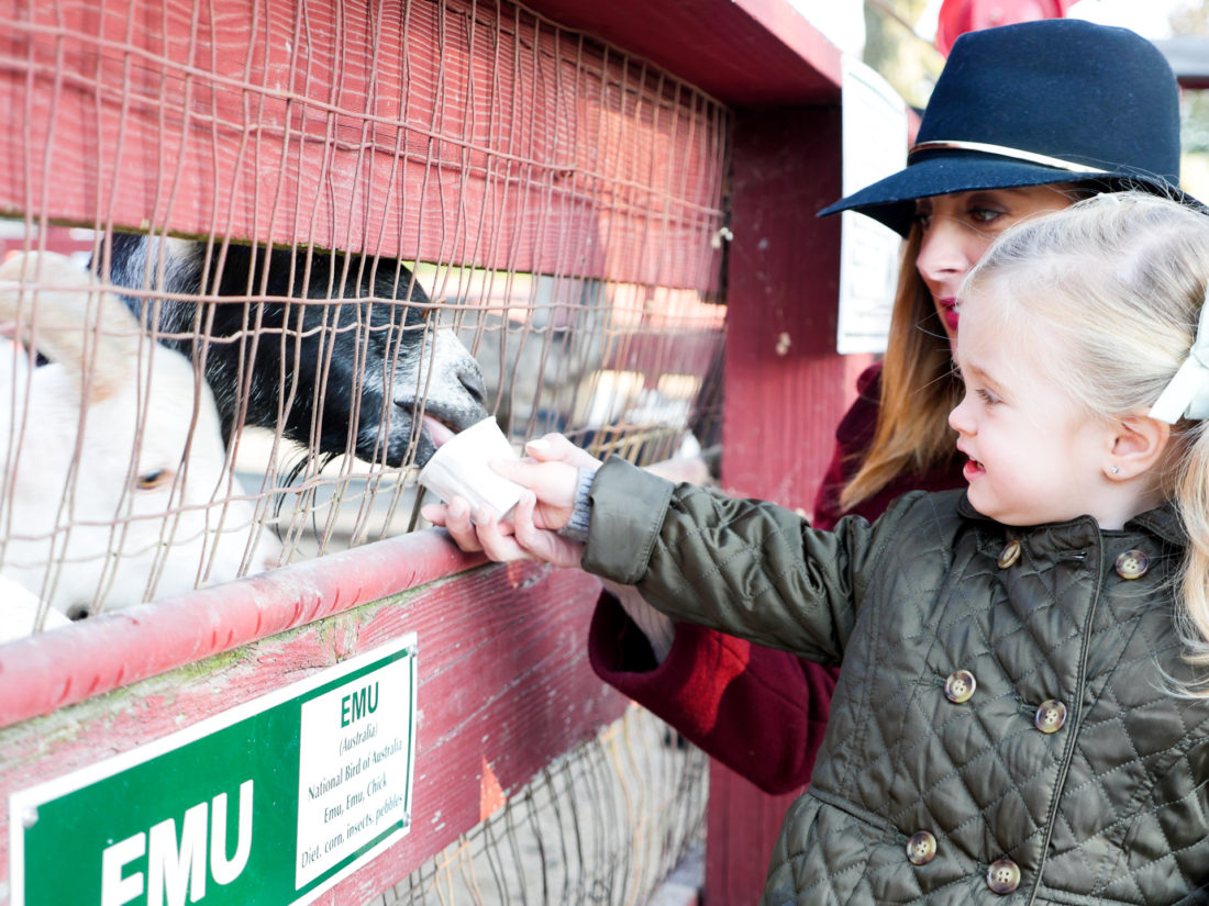 Eva Amurri Martino of lifestyle and motherhood blog Happily Eva After, feeding a goat with her two year old daughter Marlowe