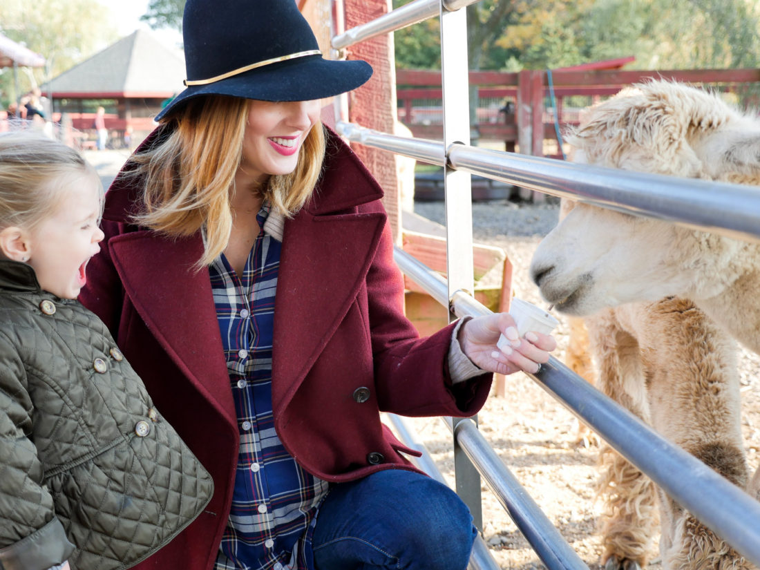 Eva Amurri Martino of lifestyle and motherhood blog Happily Eva After wears an oxblood wool coat, plaid maternity shirt, and navy felt hat as she feeds a llama with two year old daughter Marlowe