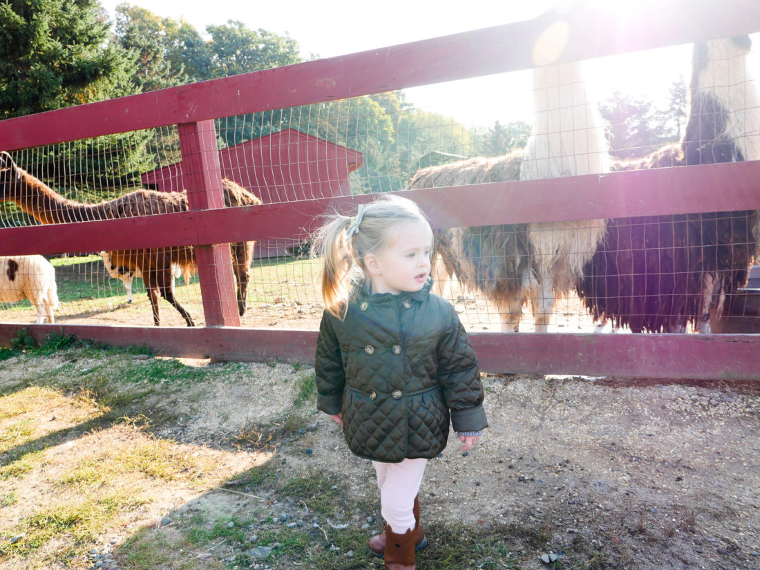 Marlowe Martino, wearing a hunter green peplum peacoat at the petting zoo in connecticut