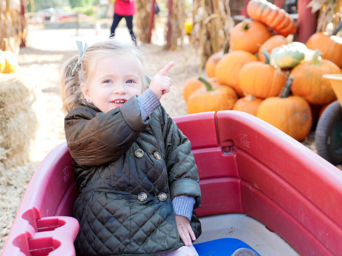 Marlowe Martino, wearing an olive green quilted peacoat at silverman's pumpkin patch in connecticut