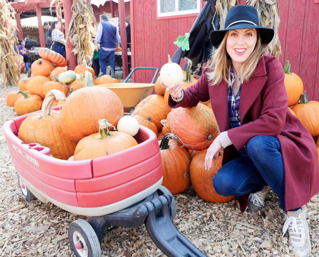 Eva Amurri Martino of lifestyle and motherhood blog Happily Eva After, wearing dark denim maternity jeans, a plaid maternity shirt, an oxblood peacoat and navy felt hat at 39 weeks pregnant, collecting pumpkins at Silverman's pumpkin patch in Connecticut