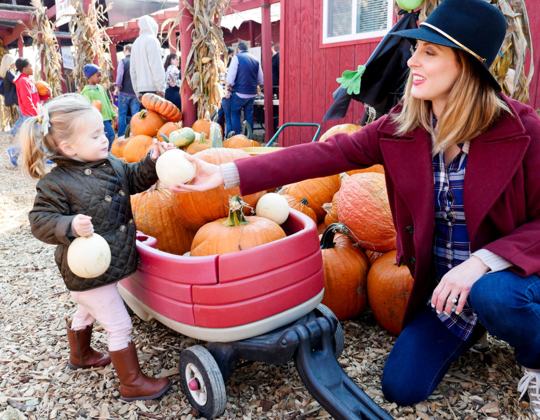 Eva Amurri Martino from lifestyle and motherhood blog Happily Eva After, collecting pumpkins with two year old daughter Marlowe at Silverman's pumpkin patch in Connecticut