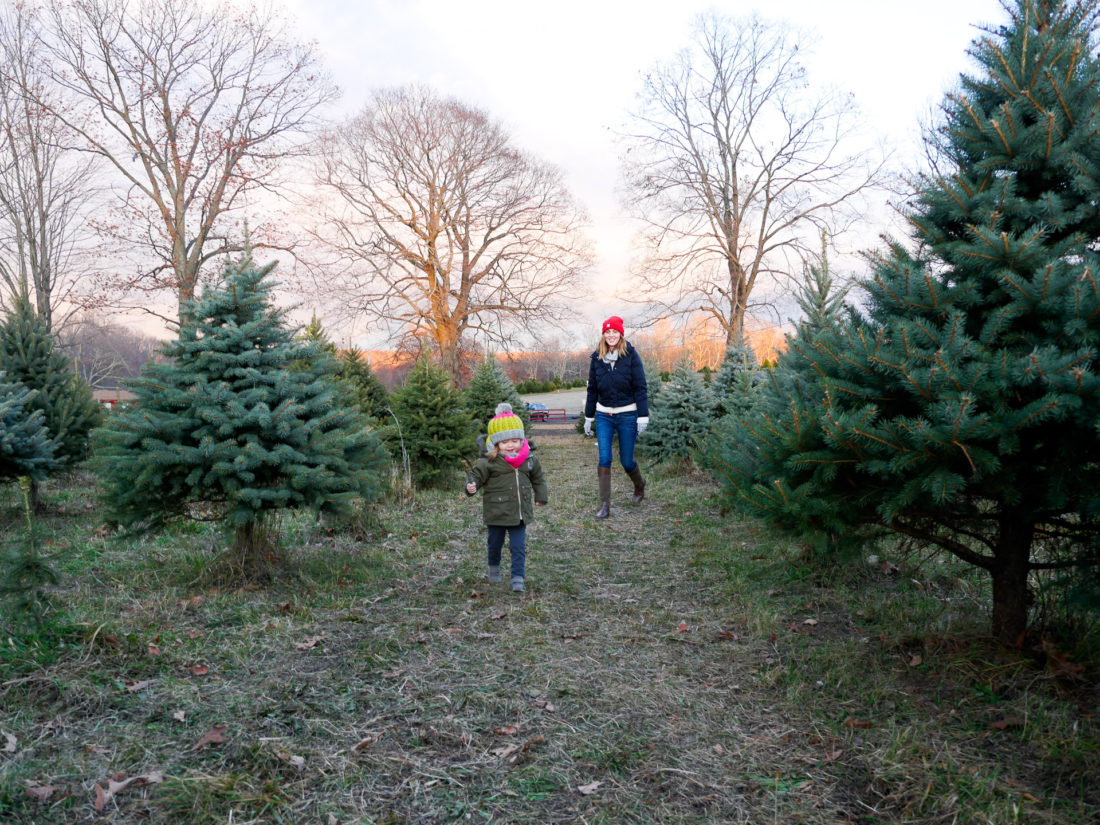 Eva Amurri Martino of lifestyle and motherhood blog Happily Eva After walks through the christmas tree farm in Connecticut with daughter Marlowe