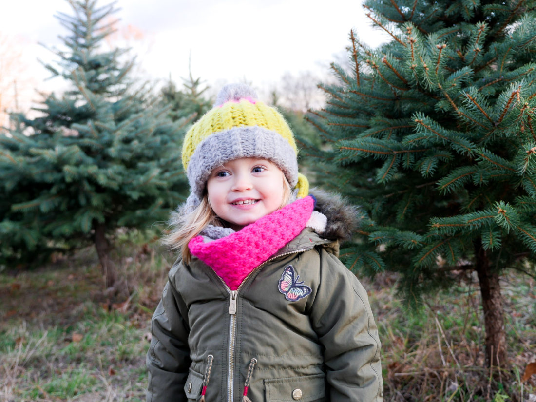 Marlowe Martino selects a Christmas Tree at a Christmas tree farm in Connecticut