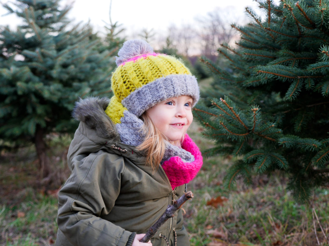 Marlowe Martino selects a Christmas Tree at a Christmas tree farm in Connecticut