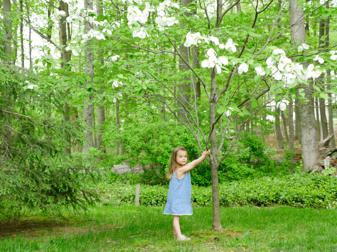 Marlowe Martino hands from a dogwood tree near her family home in Connecticut