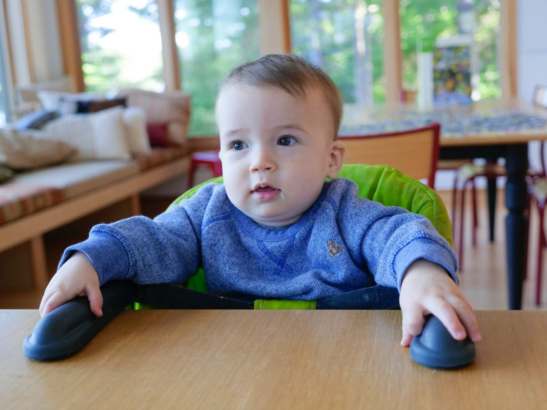 Major Martino sits in an Inglesina fast table chair at the dining room table