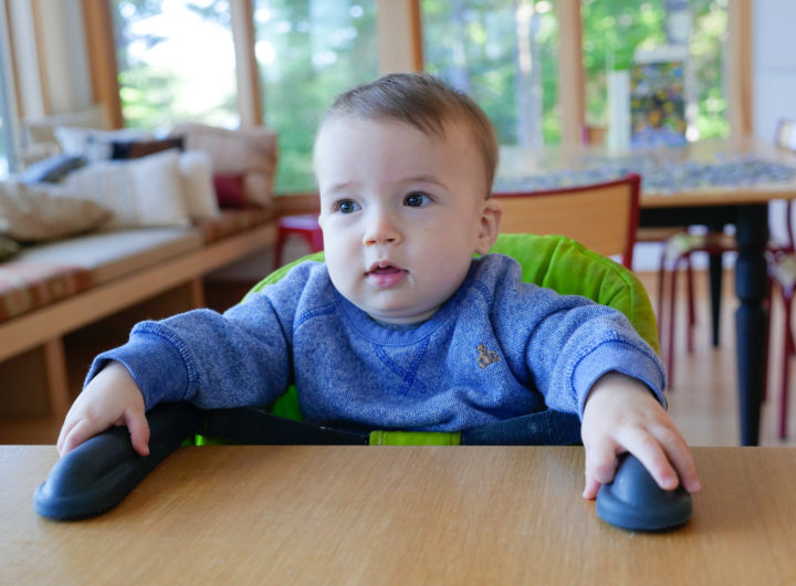 Major Martino sits in an Inglesina fast table chair at the dining room table