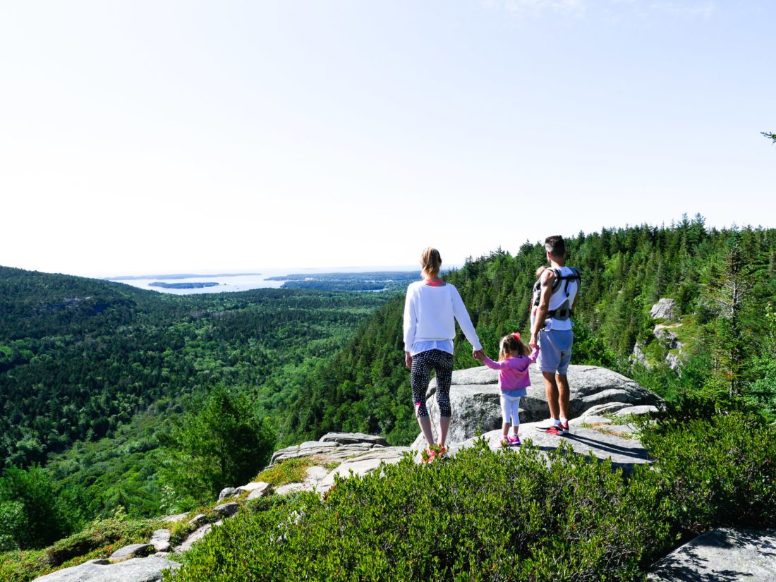 Kyle, Eva, Marlowe, and Major Martino pause at a scenic overlook while on a hike in Bar Harbor Maine