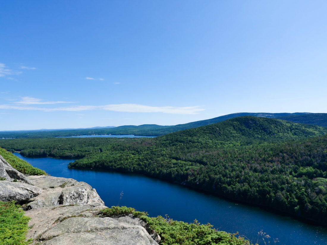 Kyle, Eva, Marlowe, and Major Martino pause at a scenic overlook while on a hike in Bar Harbor Maine