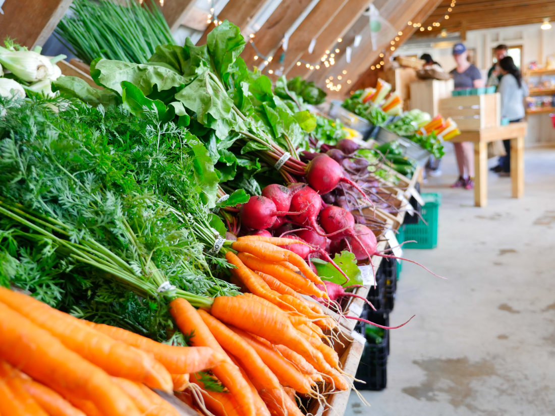 Colorful fresh produce at Beech Hill Farm in Maine