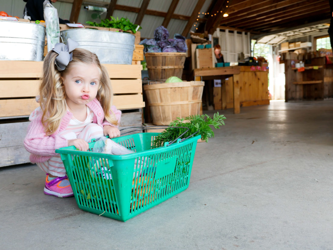 Marlowe Martino collects a basket of produce at Beech Hill Farm in Maine