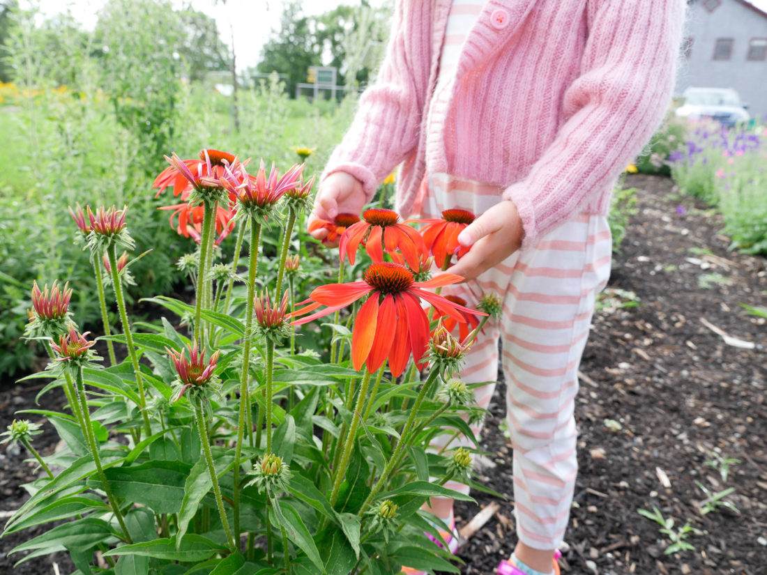 Marlowe Martino wears a striped jumpsuit and stands in the garden at Beech Hill Farm in Maine