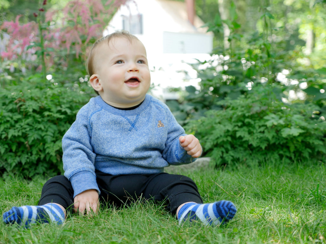 Major Martino sits in the grass surrounded by flowers in Bar Harbor Maine