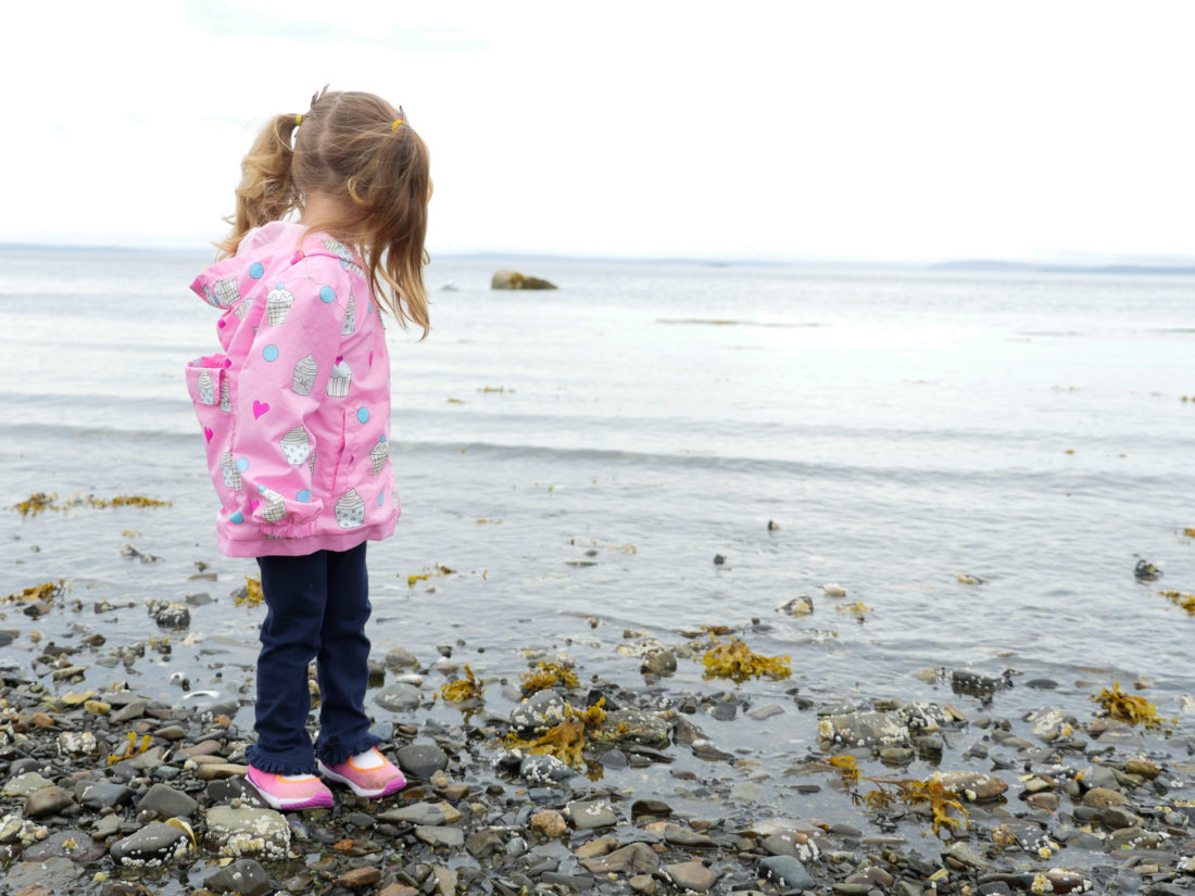  Marlowe Martino wears a pink raincoat and walk on the beach in the Bar Harbor Area of Maine