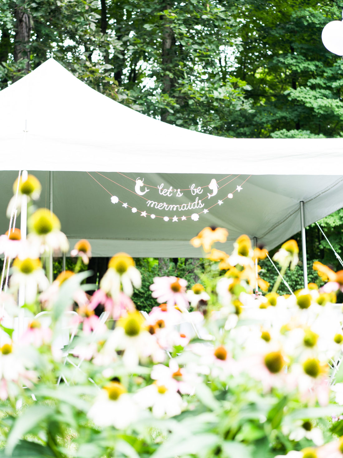 Eva Amurri Martino decorates the backyard of her Connecticut home for daughter Marlowe's 3rd birthday party with a Sharks vs. Mermaids theme