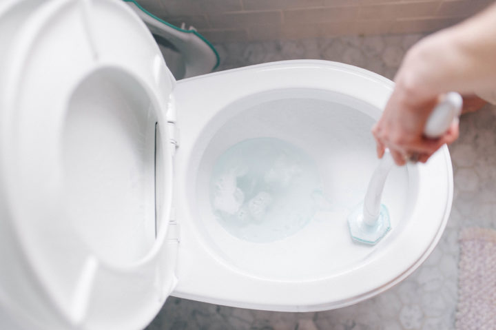 Eva Amurri Martino scrubbing her toilet clean with Clorox