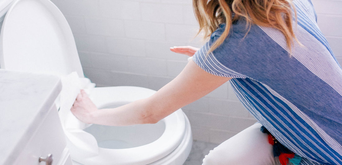 Eva Amurri Martino scrubbing her toilet clean with Clorox