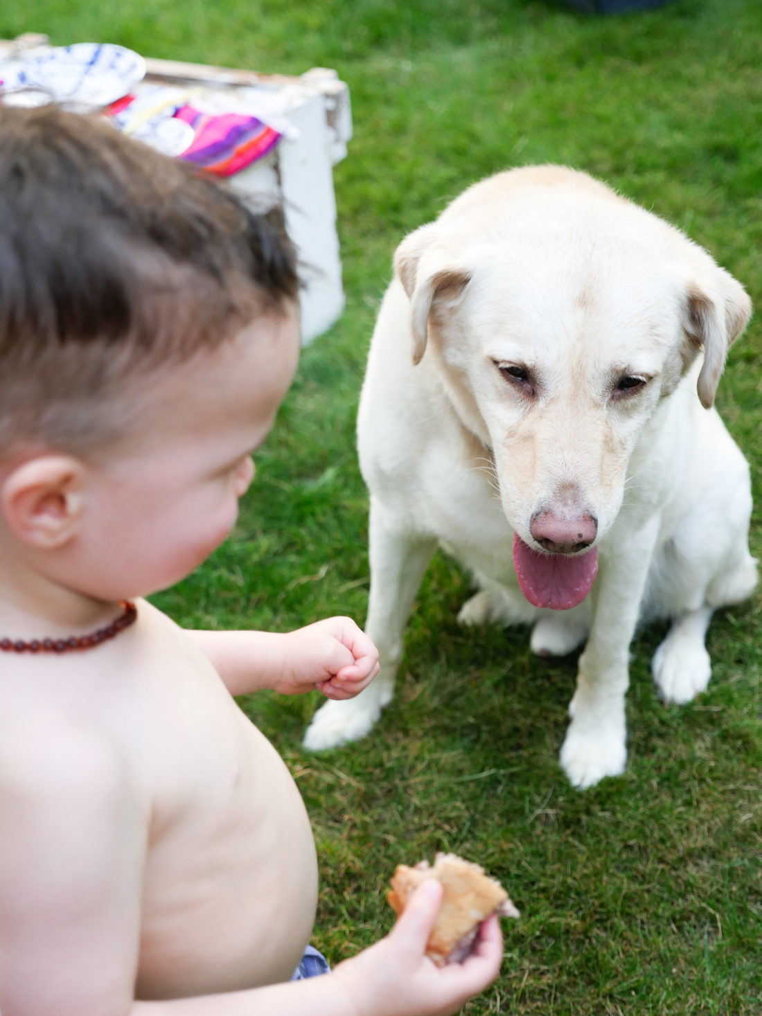 Major Martino stands with a white dog on the fourth of july