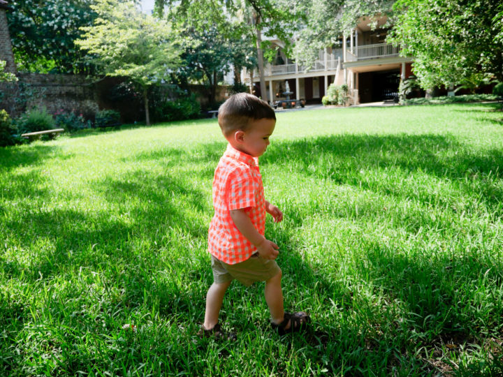 Eva Amurri Martino's son Major walks on the grass in Charleston