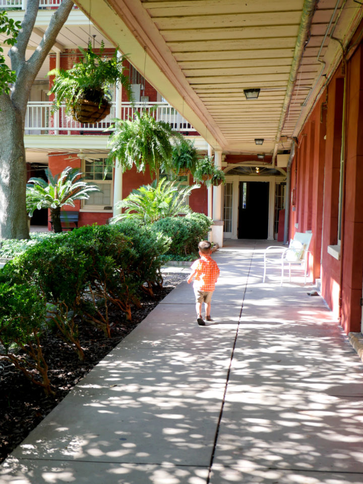 Eva Amurri Martino's son Major running around the site of his parents 2011 wedding in Charleston