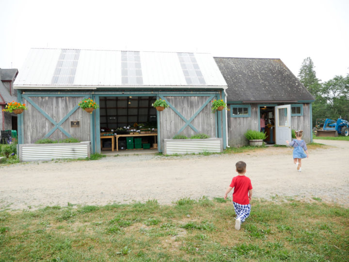 Eva Amurri Martino's son Major runs after his sister Marlowe in Bar Harbor, ME.