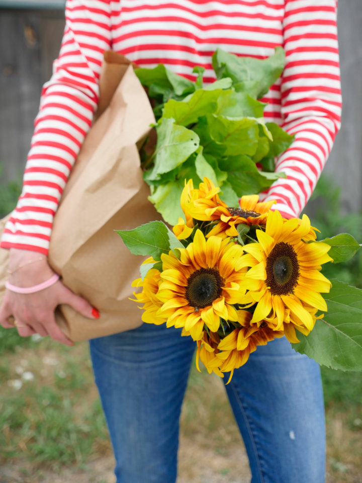 A close up of the gorgeous sunflowers from Bar Harbor, ME.