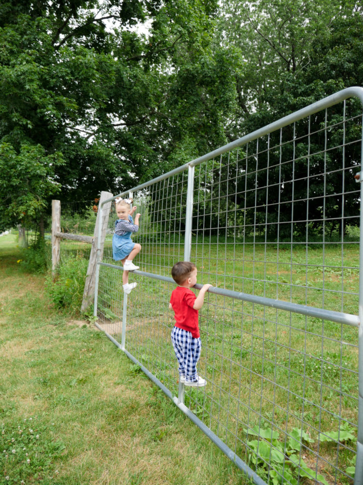 Eva Amurri Martino's kids Marlowe and Major climbing a fence in Bar Harbor, ME.