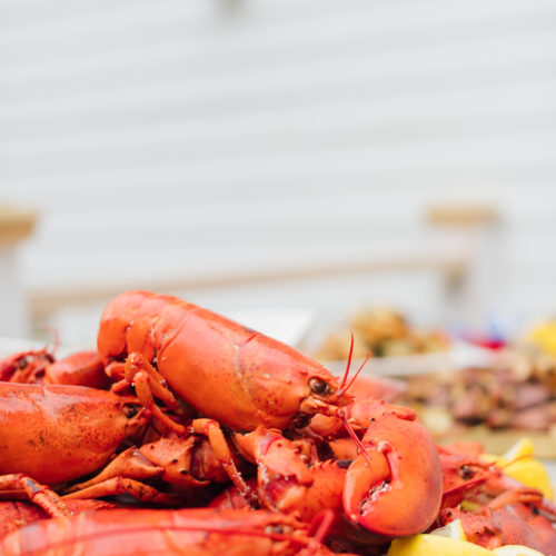 Fjord Fish Market provided lobster, salmon, clams and crab cakes for Eva Amurri Martino's clambake