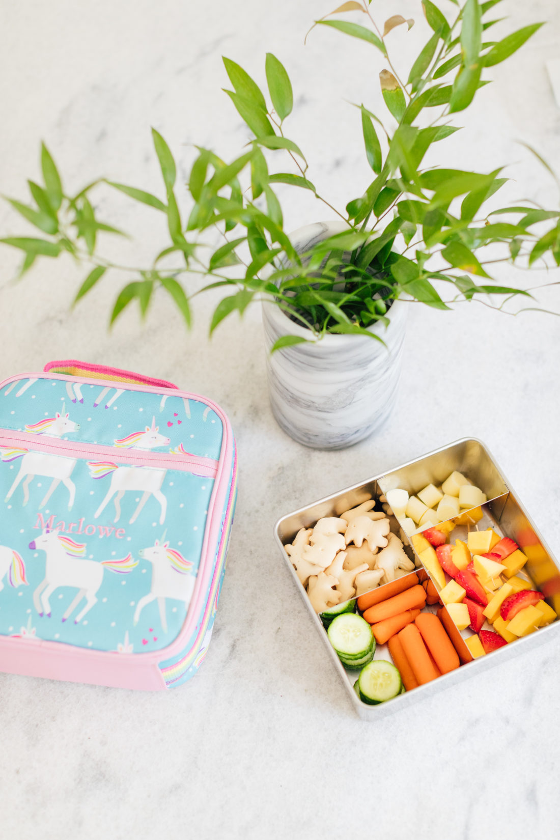 Eva Amurri Martino shows one of her 3 easy lunch box ideas