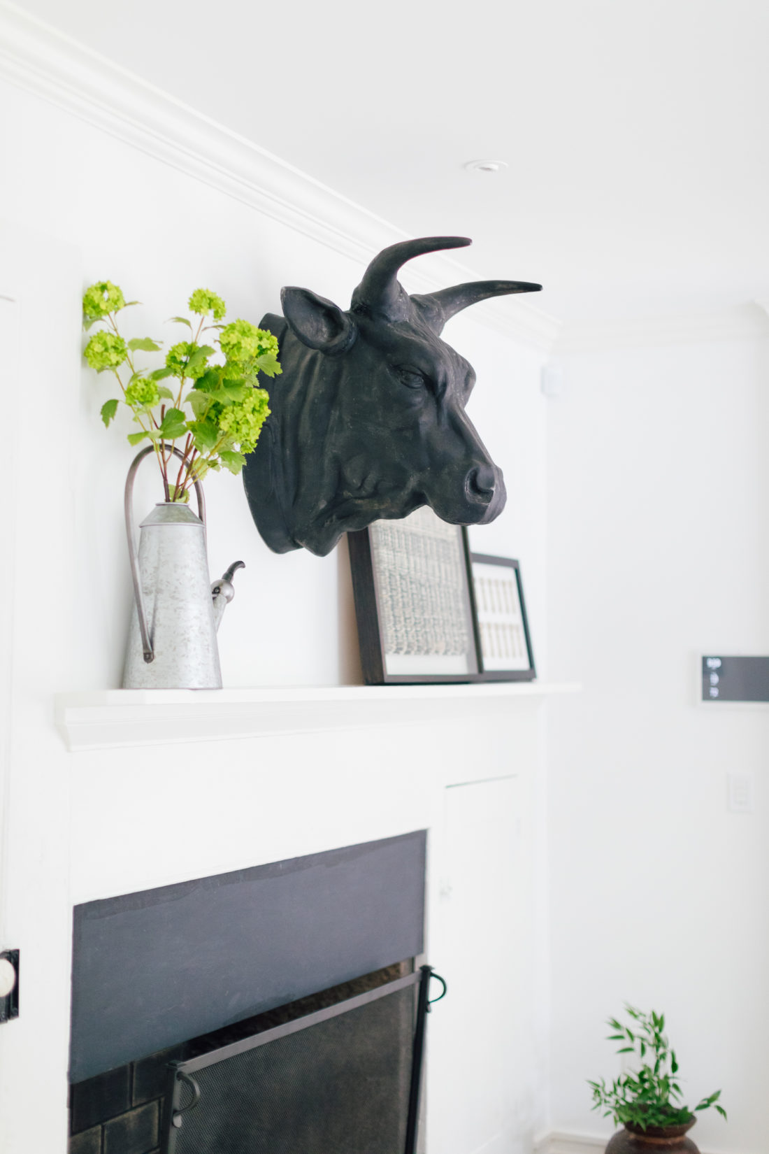 A steel bull's head has a place of honor over the fireplace in Eva Amurri Martino's connecticut kitchen