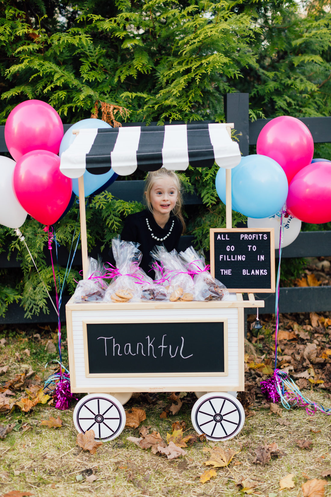 Marlowe Martino sells baked goods to raise money to benefit nonprofit organization Filling in the Blanks