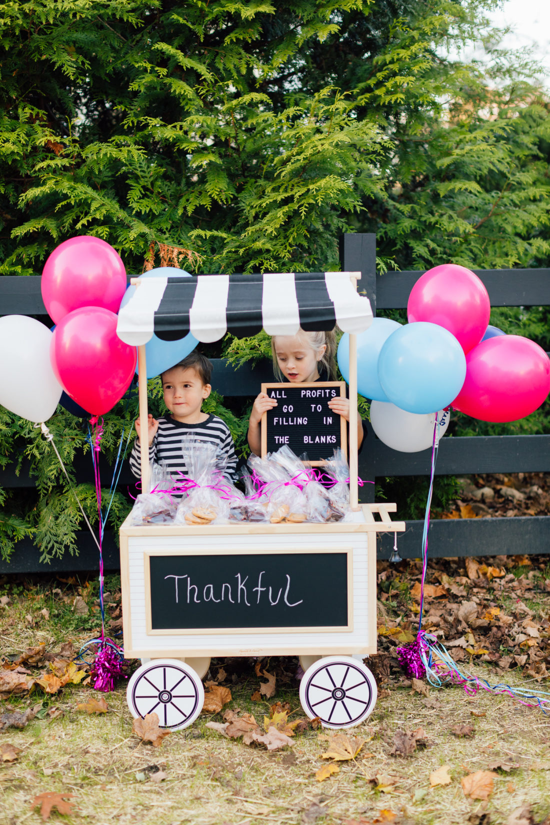 Marlowe and Major Martino sell baked goods to raise money to benefit nonprofit organization Filling in the Blanks