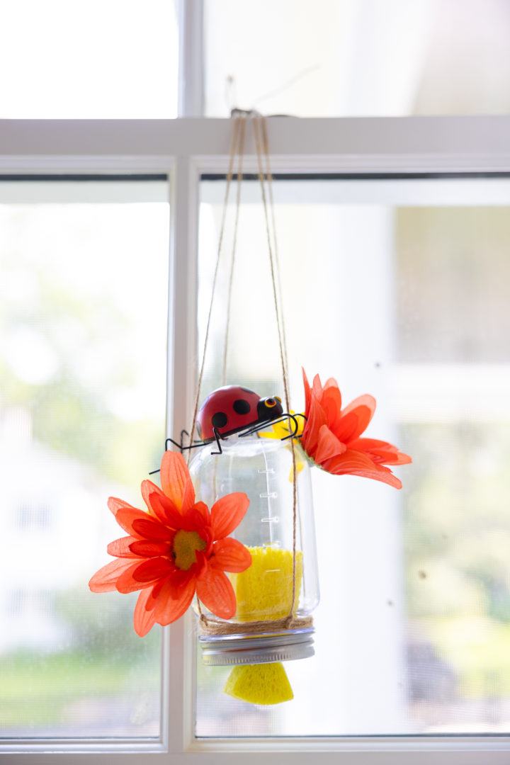 Eva Amurri shares her DIY Butterfly Feeders